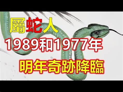 1989屬蛇幸運色|1989属蛇的终身幸运色 1989属蛇的终身幸运色是什么